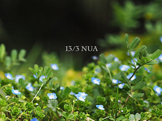春風(fēng)沉醉---之古林公園（個(gè)人主頁-ZNzM2MjgyMA==） - 風(fēng)光攝影 - 站酷設(shè)計(jì)師蟈蟈先生原創(chuàng)素材 - 站酷ZCOOL