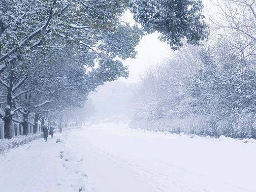 大雪（个人主页-ZMzE4NjQyNDQ=） - 人文/纪实摄影 - 站酷设计师摄影师阿正原创素材 - 站酷ZCOOL