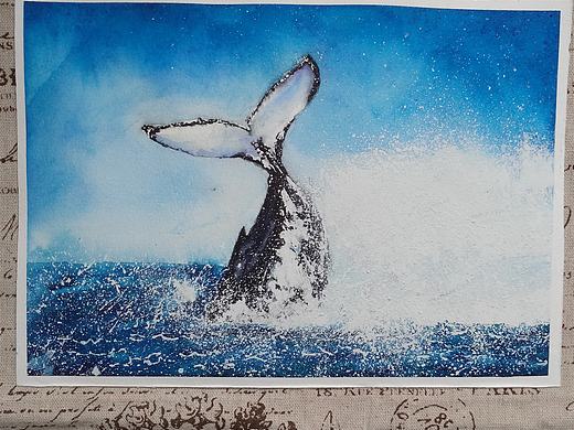 :whale:（个人主页-ZMzAwMjc0NjQ=） - 绘画 - 站酷设计师晨星先生原创素材 - 站酷ZCOOL
