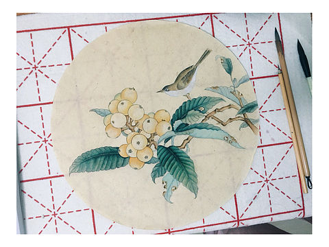 工笔小鸟枇杷（个人主页-ZMjU2MTg1NjA=） - 绘画 - 站酷设计师爱吃菌菇的猫咪原创素材 - 站酷ZCOOL