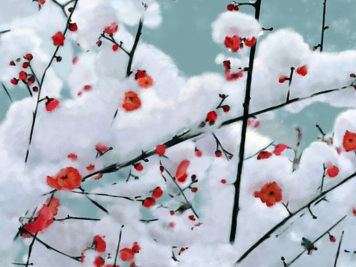 Seasons Flowers（个人主页-ZMTQ4OTUxODQ=） - 创作习作 - 站酷设计师Alphard_Zeppelin原创素材 - 站酷ZCOOL