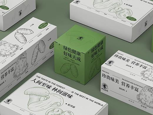 《胡记山珍》品牌提案【逐浪派对】