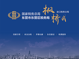 方案