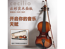 京东小提琴