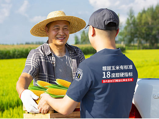 糯甜十八度鲜食玉米品牌包装设计
