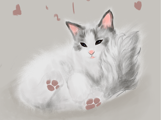 猫猫