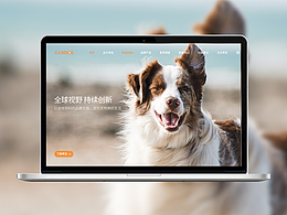 宠物品牌官网视觉升级