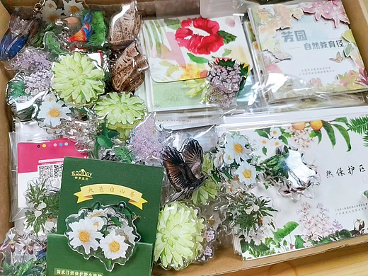 插画文创周边——植物篇