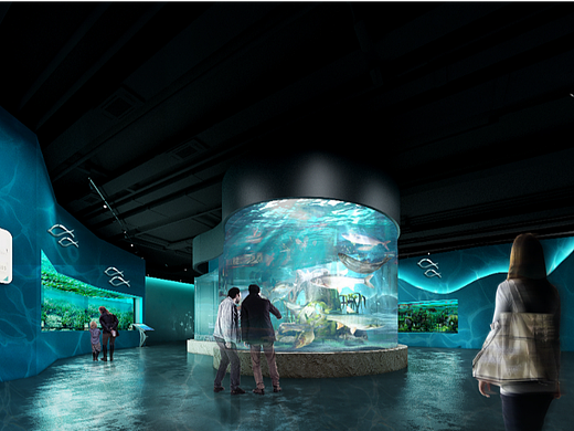 绍兴淡水鱼水族馆设计施工方案