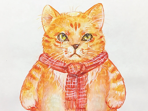 秃头猫猫