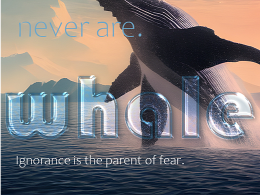 【第二十五天】海报练习