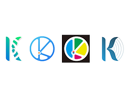 k智慧   拉k金融   大件運輸技術(shù)研究院