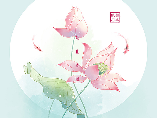 清雅荷花