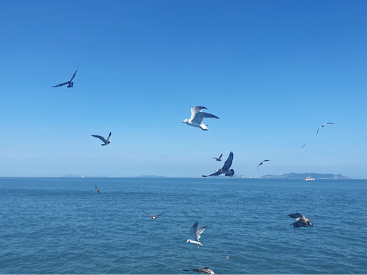 烟台 | 一起看海