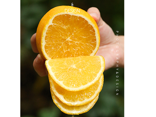 橙子熟了，赣南脐橙 新鲜种植  脐橙拍摄