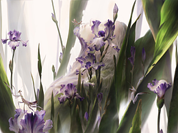 手绘插画
