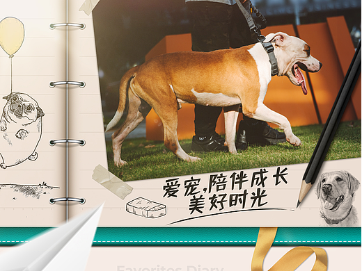宠物首页设计/日常专题页
