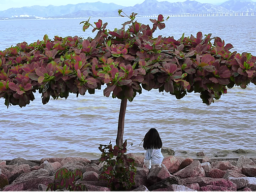 无聊 | 30张动态GIF无缝循环