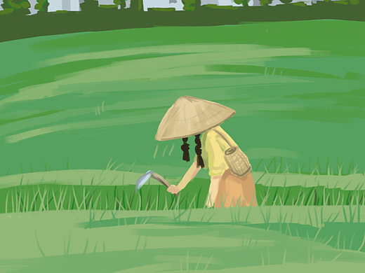夏日田间