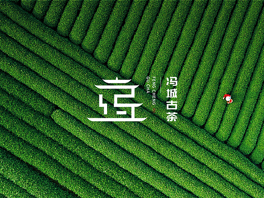 茶叶LOGO