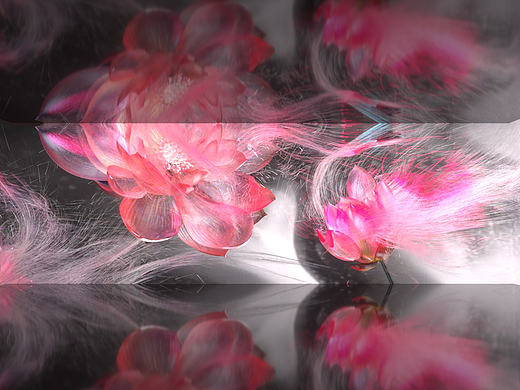 【cave体验空间】——《百花深处》