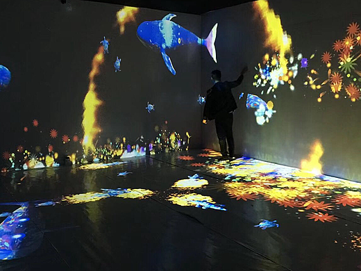 墙面互动投影应用到展馆应该怎么做