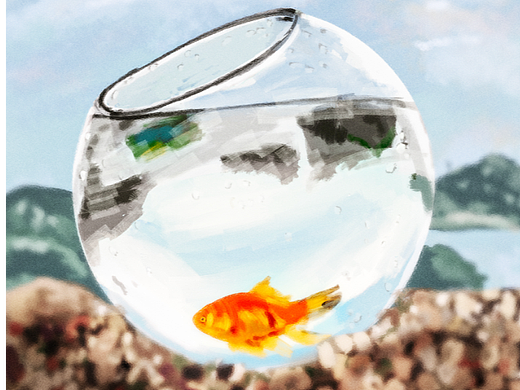 质感插画打卡挑战19