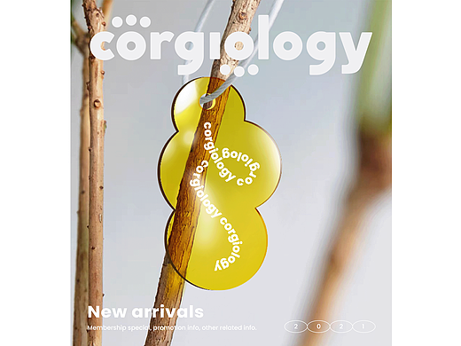 Corgiology柯学主义｜工作室包装案例分享｜宠物包装