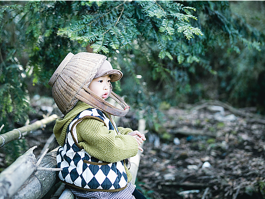 到了挖冬笋的季节