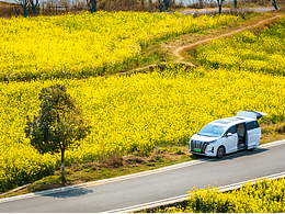 阳光恰好油菜花与腾势D9碰撞相遇（贵定金海雪山）