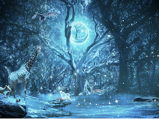 视觉合成-魔法森林（个人主页-ZNTkyNDI4NzY=） - 海报 - 站酷设计师Annelie_L原创素材 - 站酷ZCOOL