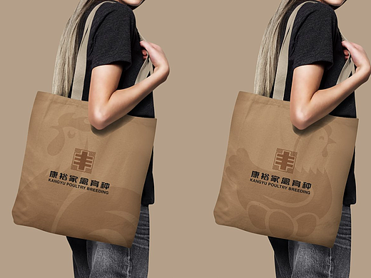 康裕禽业品牌企业视觉设计