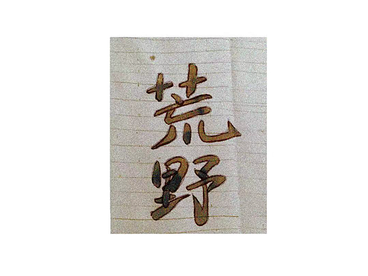 【字體幫】50DAYS DATE11.04 荒野（個人主頁-ZNjI3MTkyMzI=） - 字體/字形 - 站酷設計師野仙ELSIE原創(chuàng)素材 - 站酷ZCOOL