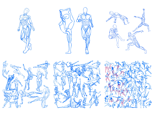 人体运动解剖练习