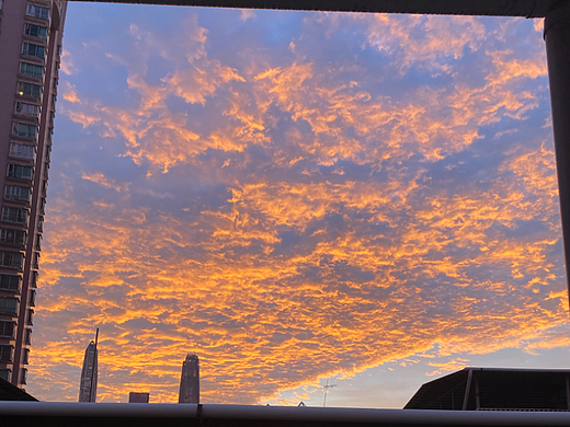 夏日的一抹蓝