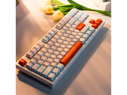 光影——花與鍵盤，社媒用圖（個人主頁-ZNjc2MzA4MzI=） - 產(chǎn)品攝影 - 站酷設計師紅領巾大隊長原創(chuàng)素材 - 站酷ZCOOL