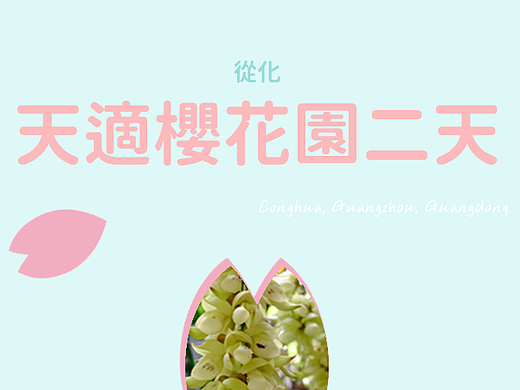 从化天适樱花园二天