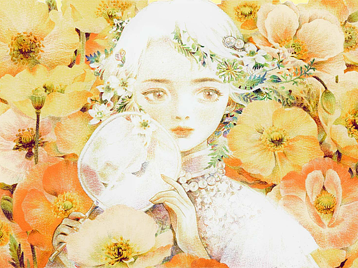 彩铅-虞美人