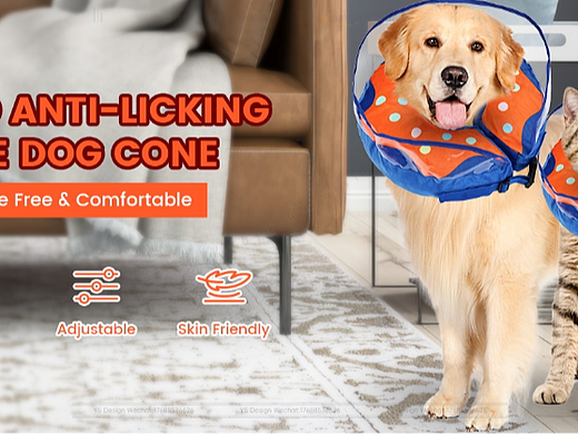 亚马逊蓝色狗项圈主副图/高级A+图片设计