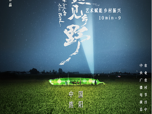 CCTV-17央视系列纪录片《当艺术遇见乡野》海报
