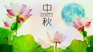 荷花映月