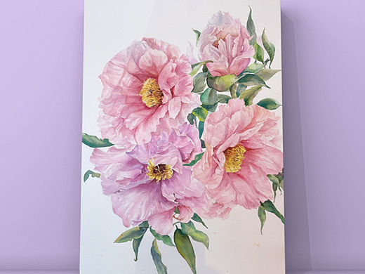 水彩花卉(油牡丹)