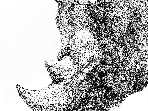 针管笔点绘1f98f（个人主页-ZMjYwMjAwODg=） - 绘画 - 站酷设计师图南Tunan原创素材 - 站酷ZCOOL