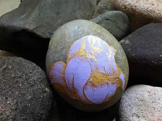 石花怒放