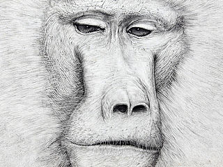 《幽幽我心》－2013