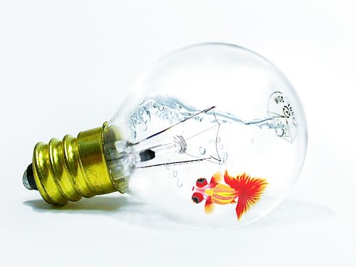 金鱼图（个人主页-ZMjU2MDg3NzI=） - 图案 - 站酷设计师河洛睿恒原创素材 - 站酷ZCOOL