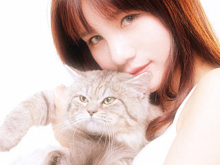 [少女与猫猫]