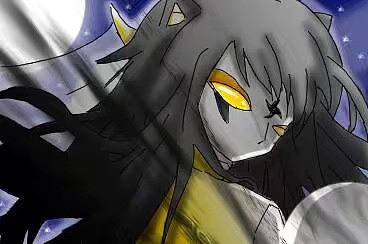 四大灵猫之首—暗灵猫