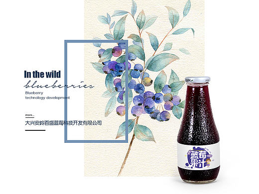 蓝莓包装一套