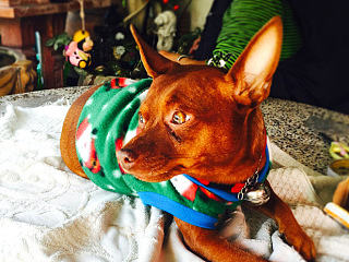 清邁跨年（個人主頁-ZNzI0OTQ2NA==） - 其他攝影 - 站酷設(shè)計師倩簡單戀原創(chuàng)素材 - 站酷ZCOOL